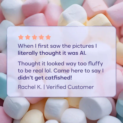 Marshmallow Comforter